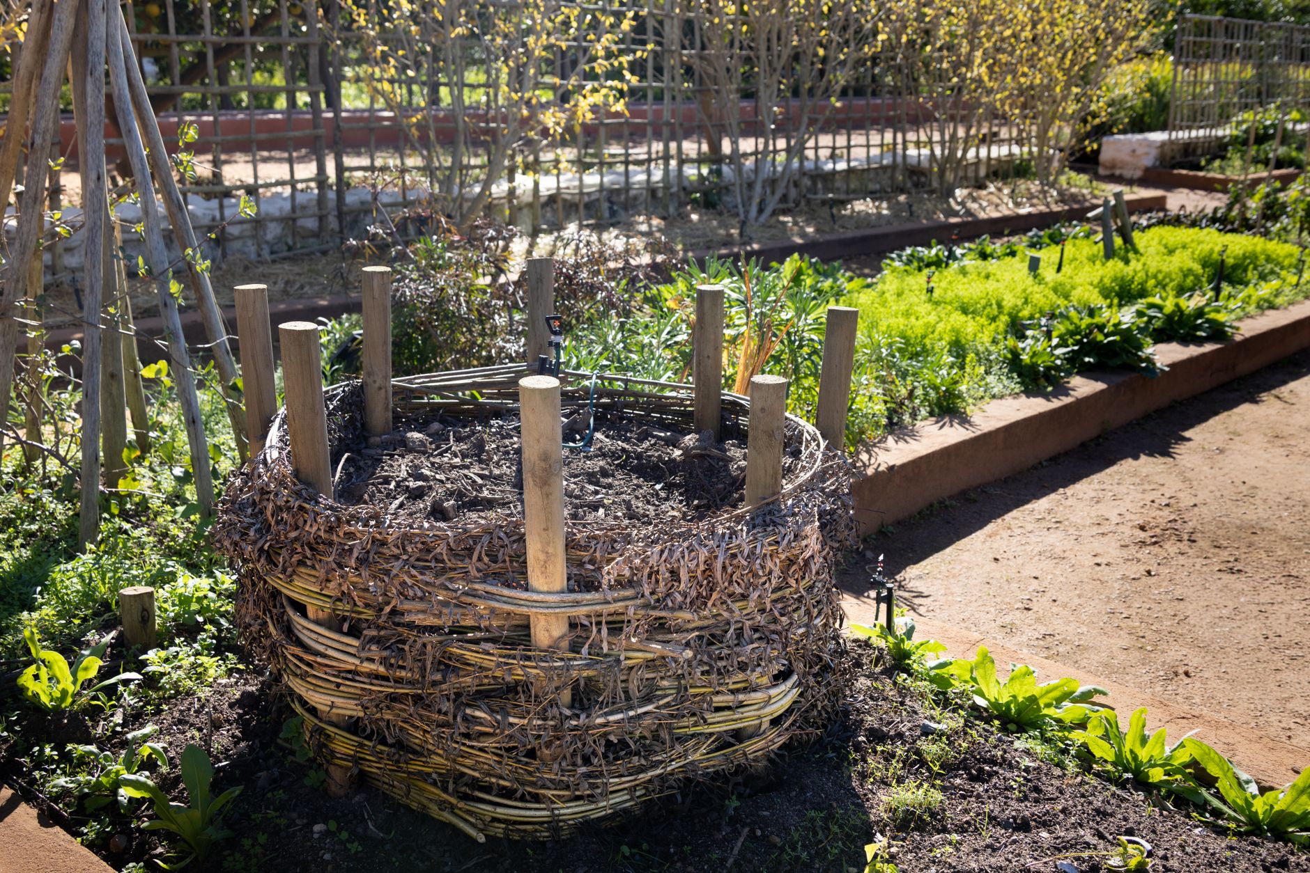 Sample garden photo 4
